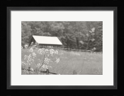 Framed Summer Farm III BW Print