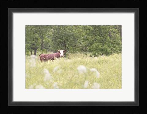 Framed Summer Farm II Print