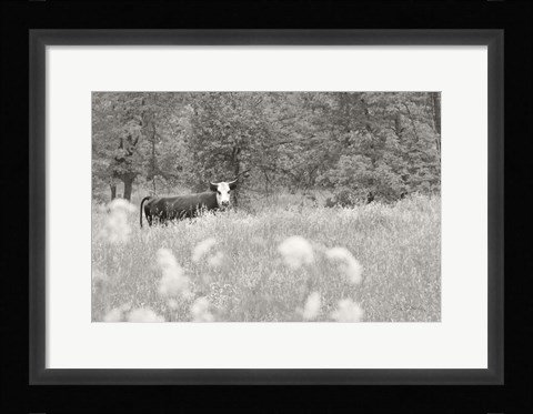 Framed Summer Farm II BW Print