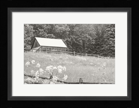 Framed Summer Farm I BW Print