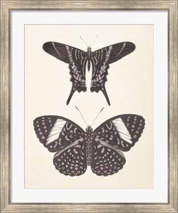 Framed Papillons II Neutral Print
