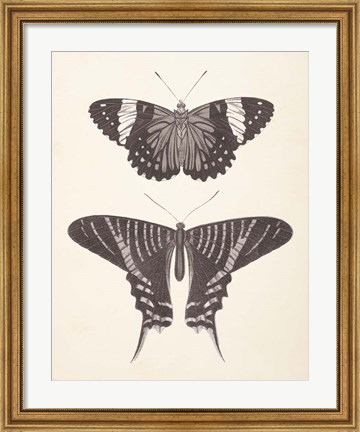 Framed Papillons I Neutral Print