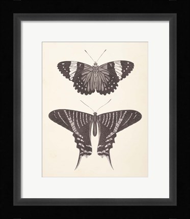 Framed Papillons I Neutral Print