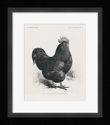 Framed Vintage Farm Life II Print