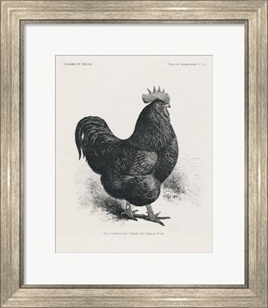 Framed Vintage Farm Life II Print