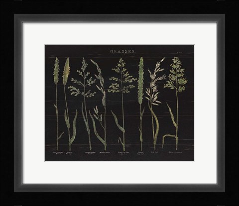 Framed Herbal Botanical VII Black Print