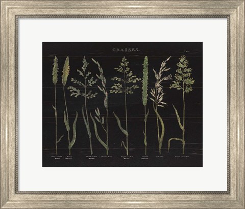 Framed Herbal Botanical VII Black Print