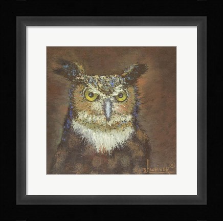 Framed Owl Print