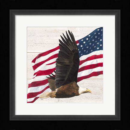 Framed Let Freedom Soar V Print