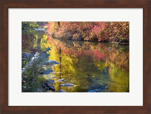 Framed Deep Fall Colors, Wenatchee River, Washington State Print