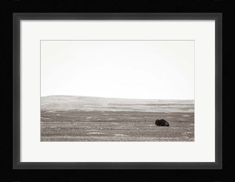 Framed Badlands Guard Print