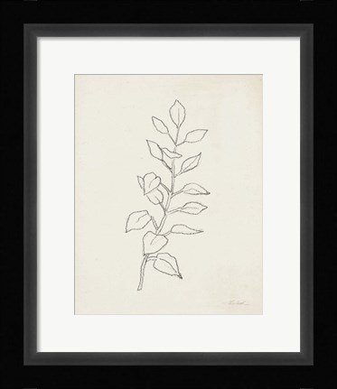 Framed August Branch I Print