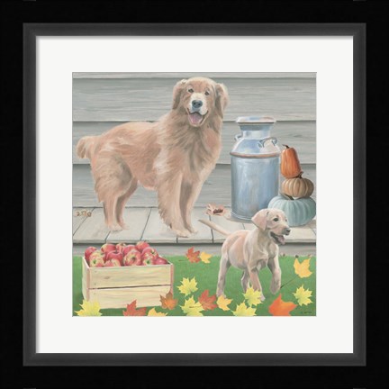 Framed Fall at the Farm III Print