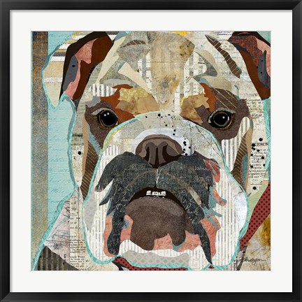 Framed English Bulldog Print