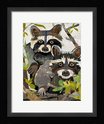 Framed Raccoons Print