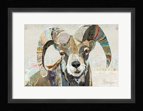 Framed Wild Bighorn Sheep Print