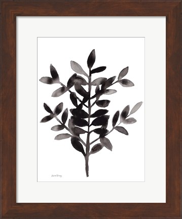Framed Botanical with Nagi Fern No. 3 Print