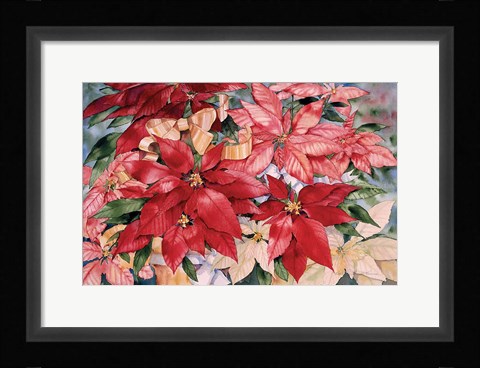 Framed Poinsettia Print