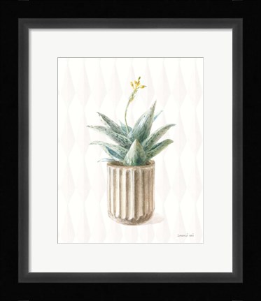 Framed Desert Greenhouse XX Print