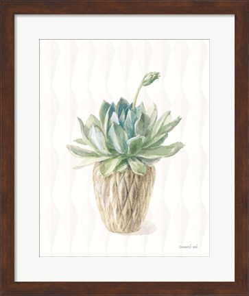 Framed Desert Greenhouse XV Print