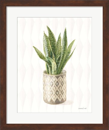 Framed Desert Greenhouse XVI Print