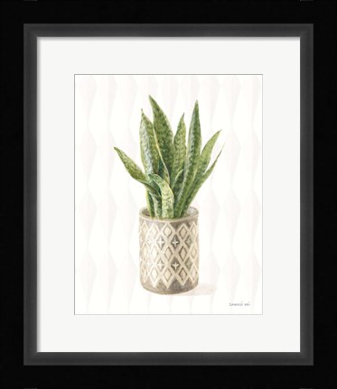 Framed Desert Greenhouse XVI Print
