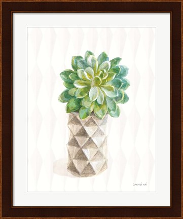 Framed Desert Greenhouse XVIII Print