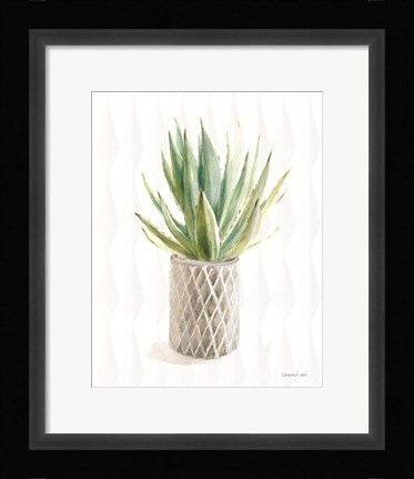 Framed Desert Greenhouse XIX Print