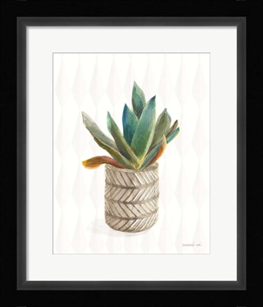 Framed Desert Greenhouse XIII Subtle Print