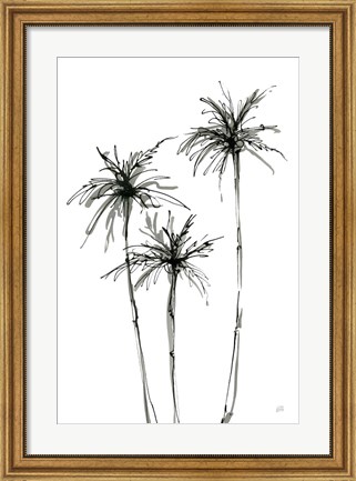 Framed Shadow Palms IV Print