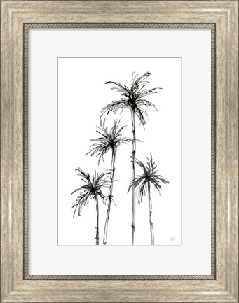 Framed Shadow Palms III Print
