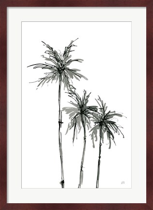 Framed Shadow Palms II Print