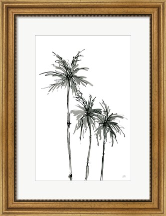 Framed Shadow Palms II Print