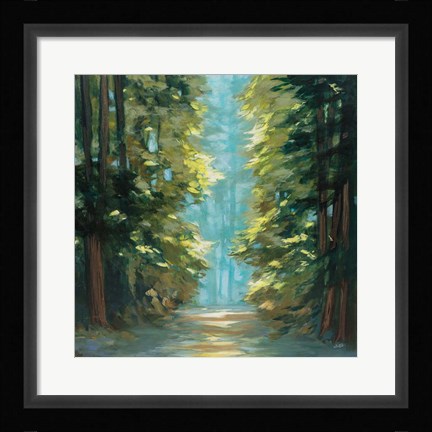 Framed Sunlit Forest Print