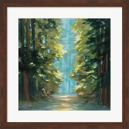 Framed Sunlit Forest Print