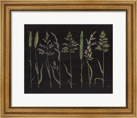 Framed Herbal Botanical VII Black Wood No Words Print