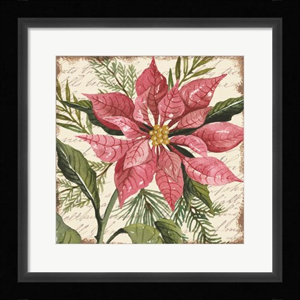 Framed Mauve Poinsettia Botanical Print