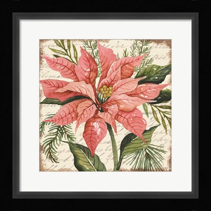 Framed Peach Poinsettia Botanical Print