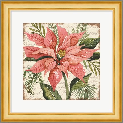 Framed Peach Poinsettia Botanical Print