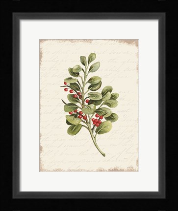 Framed Berries Christmas Botanical Print