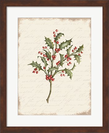 Framed Holly Christmas Botanical Print