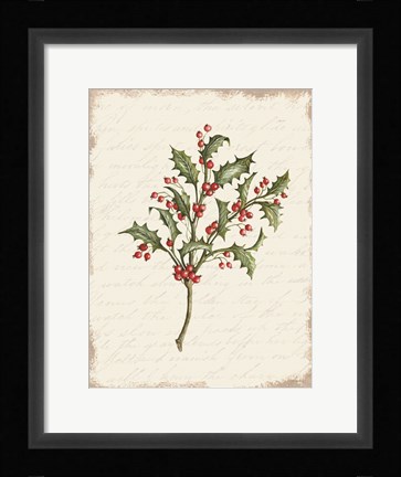Framed Holly Christmas Botanical Print