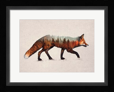 Framed Red Fox Print