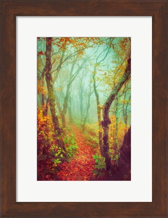 Framed Fairytale Fall Pathway Print