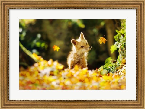 Framed Falling Leaves Fox Print