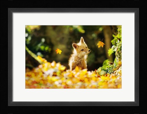 Framed Falling Leaves Fox Print