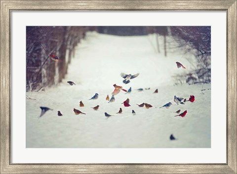 Framed Feathered Friends Birds in Snow Print