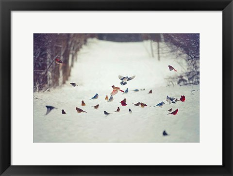 Framed Feathered Friends Birds in Snow Print