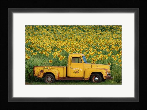 Framed Yellow Vintage Sunflower Truck Print