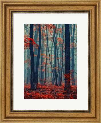 Framed Autumn Forest In The Mist Print